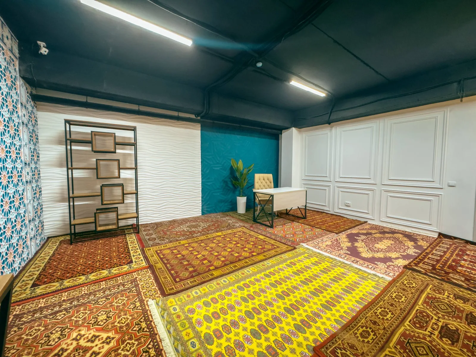 Focus studio 3